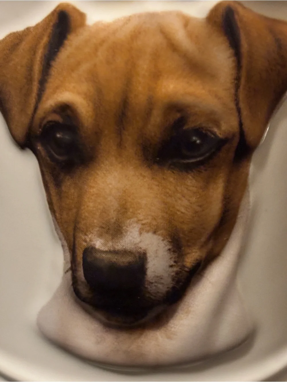 Jack Russell Ceramic Mug
